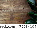 Indian rubber tree Indian rubber leaves on the background of wood. Indian rubber trees obtained by propagation by the graft 72934105
