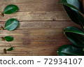 Rubber tree leaves and branches Prepare to propagation on wooden background and Indian rubber trees obtained by propagation by the graft 72934107