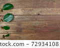 Rubber tree leaves and branches Prepare to propagation on wooden background. 72934108