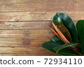 Indian rubber tree, the tops of the rubber plant on wooden background. Indian rubber trees obtained by propagating by graft 72934110