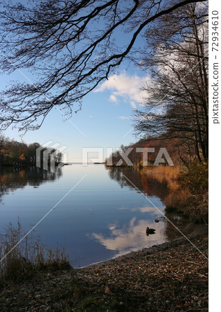 autumn landscape fallen leaves trees and clouds reflected in the water 72934610