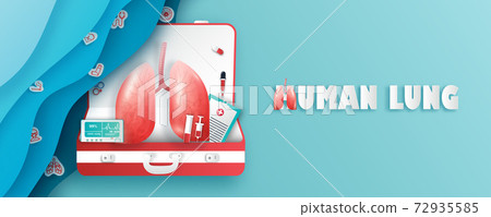 lung, pulmonary, vector 72935585