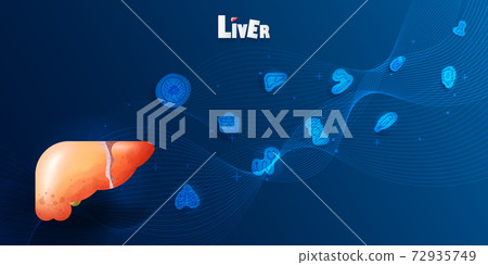 background, liver, organ 72935749