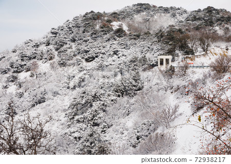 Winter time with snow trees and sea. Snowy cold landscape in Anapa Winter time with snow trees and sea. Snowy cold landscape in Anapa 72938217