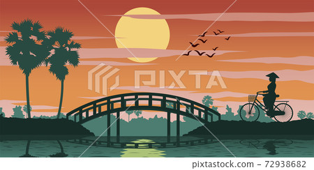 Vietnamese woman ride bicycle pass rice field on sunset time,bridge ahead 72938682