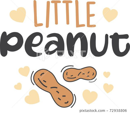 Little peanut on the white background. Vector illustration 72938806