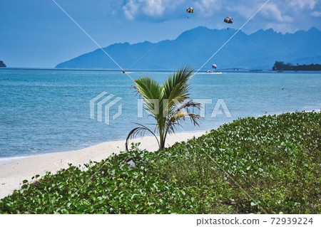 Waves of the azure Andaman sea under the blue sky reaching the shores of the sandy beautiful exotic and stunning Cenang beach in Langkawi island 72939224