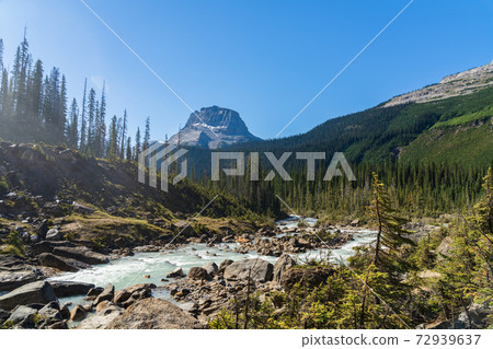 Glacier-fed waters from Takakkaw Falls flow into Yoho River with Wapta Mountain in the background in a sunny summer day. Yoho National Park, Canadian Rockies, British Columbia, Canada. Glacier-fed waters from Takakkaw Falls flow into Yoho River with Wapta Mountain in the background in a sunny summer day. Yoho National Park, Canadian Rockies, British Columbia, Canada. 72939637