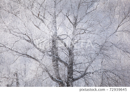 Winter landscape on a river with tree in frost Winter landscape on a river with tree in frost 72939645