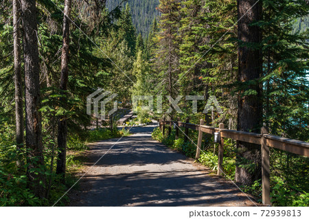 Emerald Lake walking trail. Yoho National Park, Canadian Rockies, British Columbia, Canada. 72939813