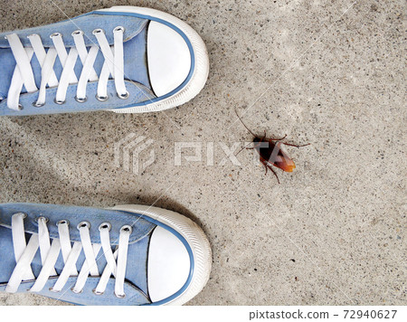 A huge cockroach found while walking through the streets in Thailand 72940627