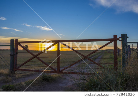 Pampas Landscape Pampas Landscape 72941020