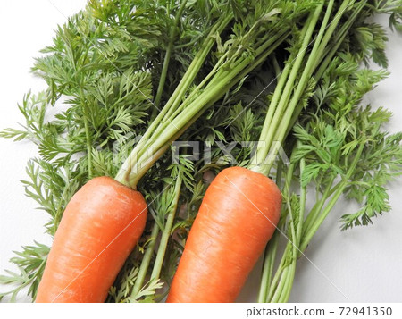 Carrot 10 72941350