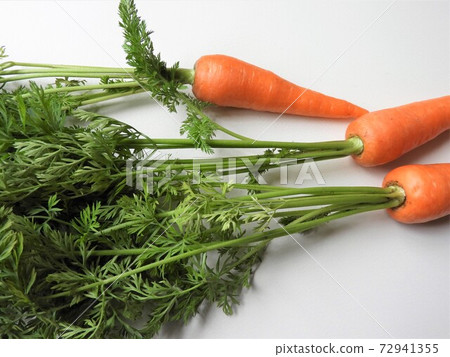 Carrot 5 Carrot 5 72941355