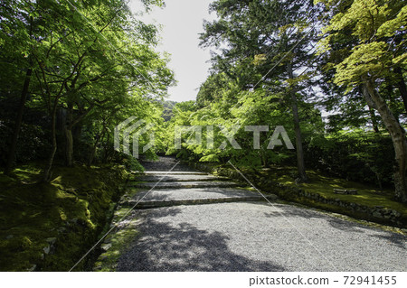 The approach to Nison-in 72941455