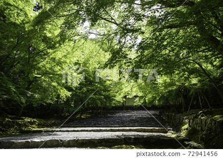 The approach to Nison-in 72941456
