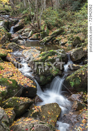 [飛ida高山：用緩慢的快門拍攝美麗的秋葉的宇津市十八瀑布的照片] 72942062