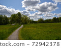 Green field with plants and blue bright sky in Sweden forest 72942378