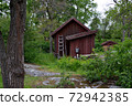 Wooden historical brown or red house with green grass on the roof in Skansen Stockholm Sweden 72942385