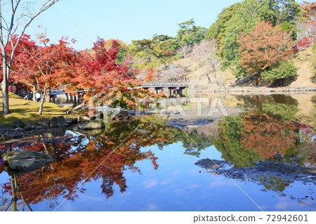 秋葉在奈良 72942601
