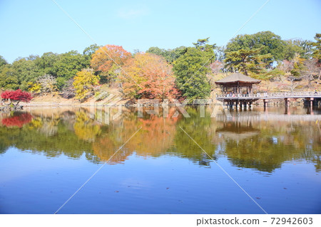 奈良的秋天 奈良的秋天 72942603