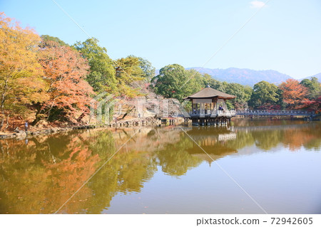 奈良的秋天 奈良的秋天 72942605