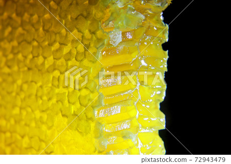 cut comb honey glows on a black background 72943479