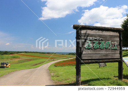 夏季花園,富良岡 夏季花園,富良岡 72944959