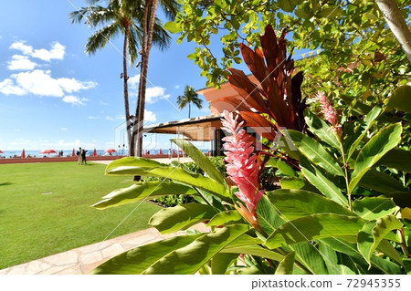 夏威夷的假期 72945355