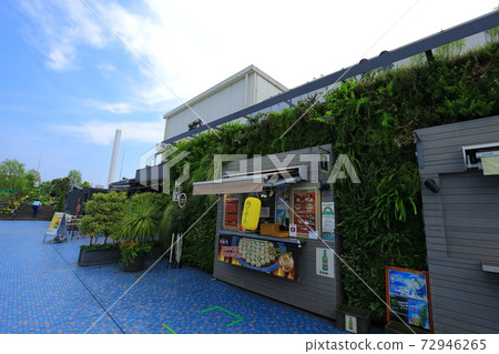 西武池袋空中花園“食物與綠色空中花園”睡蓮花園 西武池袋空中花園“食物與綠色空中花園”睡蓮花園 72946265