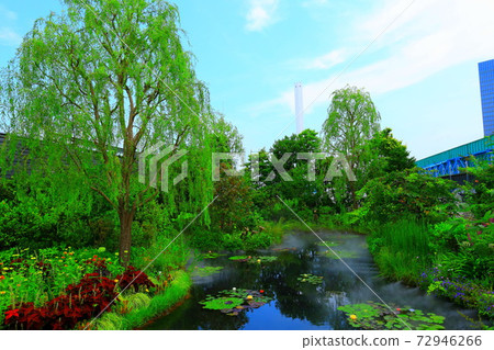 西武池袋空中花園“食物與綠色空中花園”睡蓮花園 72946266