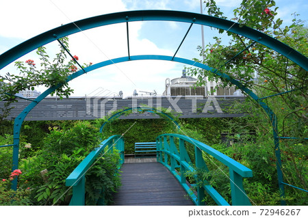 西武池袋空中花園“食物與綠色空中花園”睡蓮花園 72946267