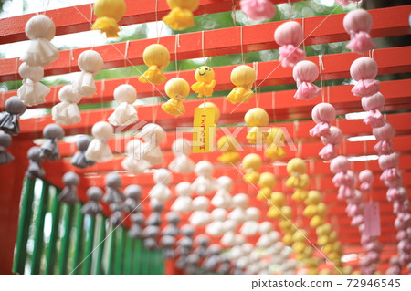 田ashi神社“七夕輝都隧道” 72946545