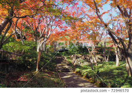 熱海MOA博物館秋葉 72946570