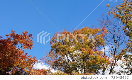 紅色黃綠色和藍色的天空 72948432