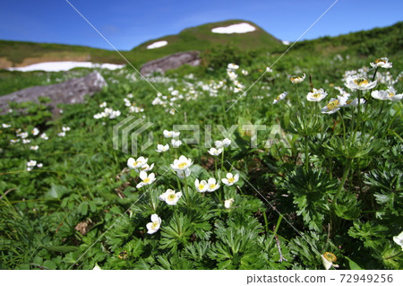 Mt. Yakeishi Iwate Prefecture 72949256