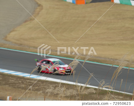 Japanese pampas grass and racing car 72950623