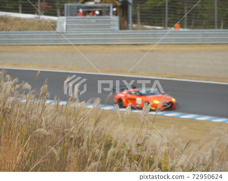 Japanese pampas grass and racing car 72950624