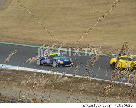 Japanese pampas grass and racing car 72950626