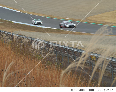 Japanese pampas grass and racing car 72950627