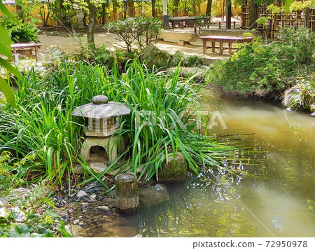 Japanese garden pond Japanese garden pond 72950978