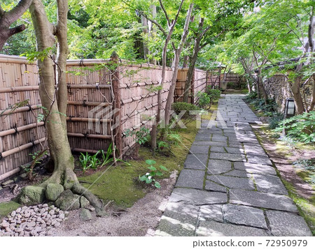 Hedges in a Japanese garden Hedges in a Japanese garden 72950979