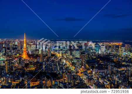 Tokyo / Urban landscape / Tokyo Tower Night view 72951936