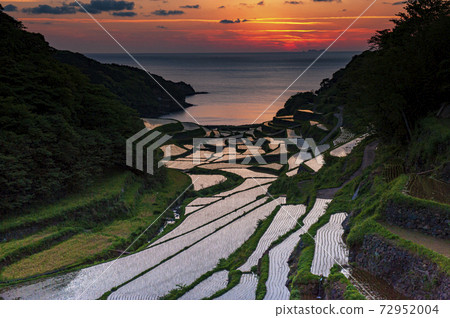 佐賀縣濱浦浦田田,被玄海那田的紅色夕陽照亮 佐賀縣濱浦浦田田,被玄海那田的紅色夕陽照亮 72952004