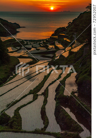 佐賀縣濱浦浦田田,被玄海那田的紅色夕陽照亮 佐賀縣濱浦浦田田,被玄海那田的紅色夕陽照亮 72952007