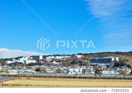 靜岡大學全景 靜岡大學全景 72952033