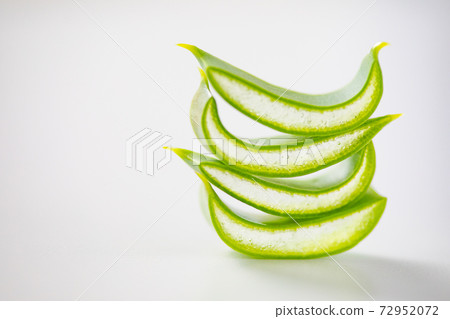 蘆薈的截面圖 蘆薈的截面圖 72952072