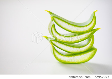 Cross-section image of aloe 72952073