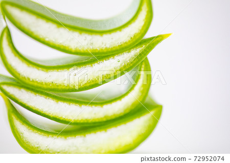 蘆薈的截面圖 蘆薈的截面圖 72952074