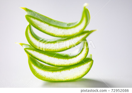 蘆薈的截面圖 蘆薈的截面圖 72952086